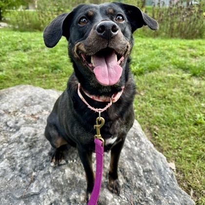 Winnie