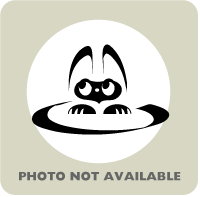 Deviantart Coy Coy | Humane Society of Huron Valley