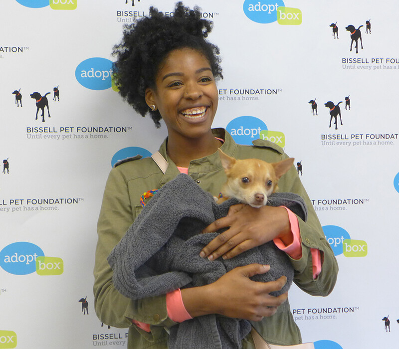 What adoptions include