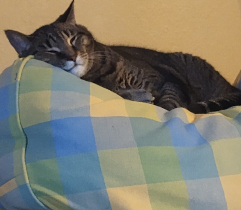 Quincy means love