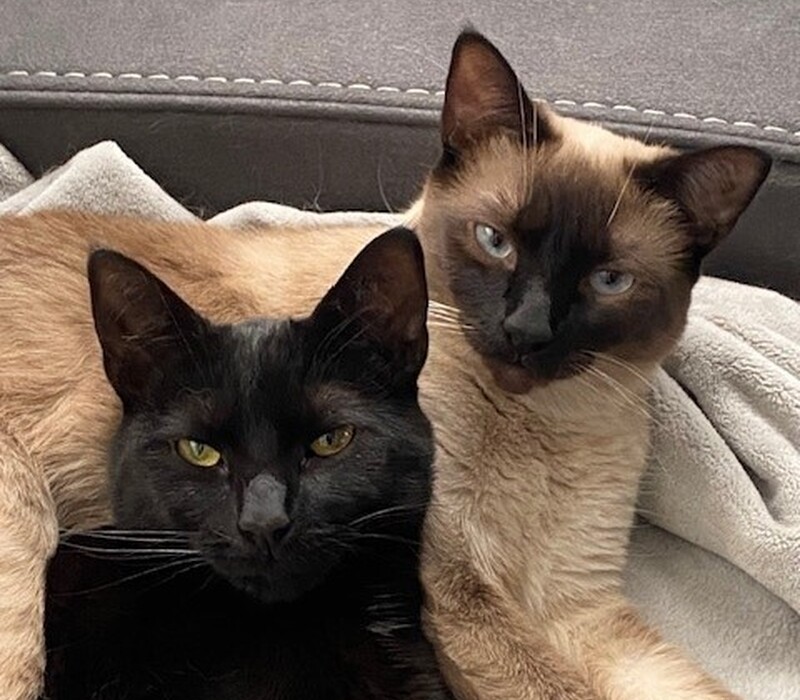 Stella & Luna - a match made in heaven