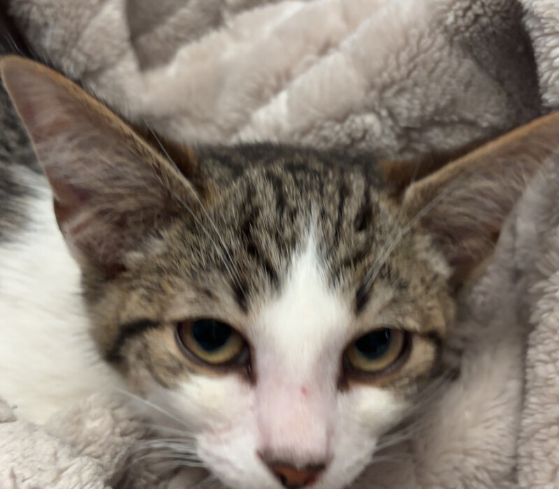Cyclops finds his forever loving home