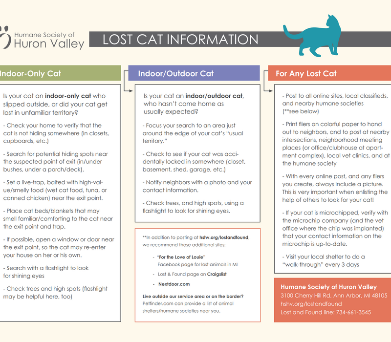 Lost your cat?