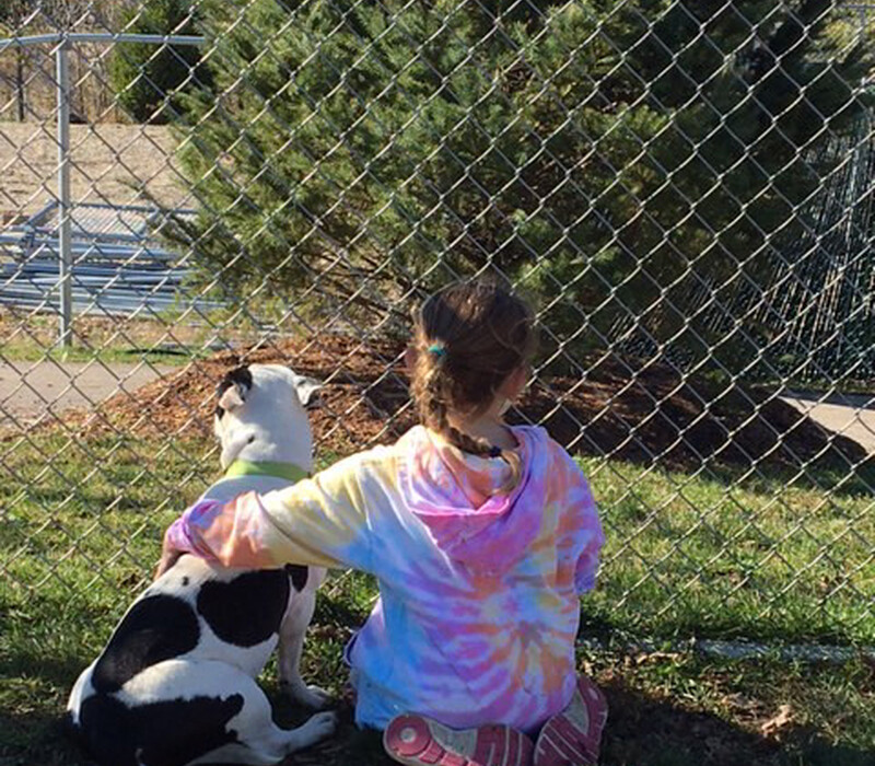 Does your pet need sunscreen?