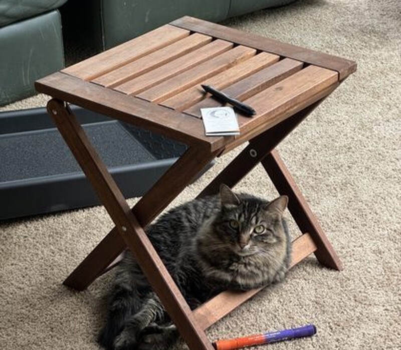 Cat 61569558