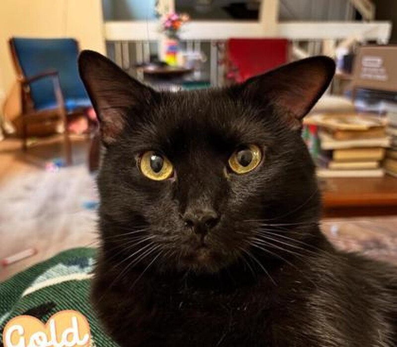 Jasper