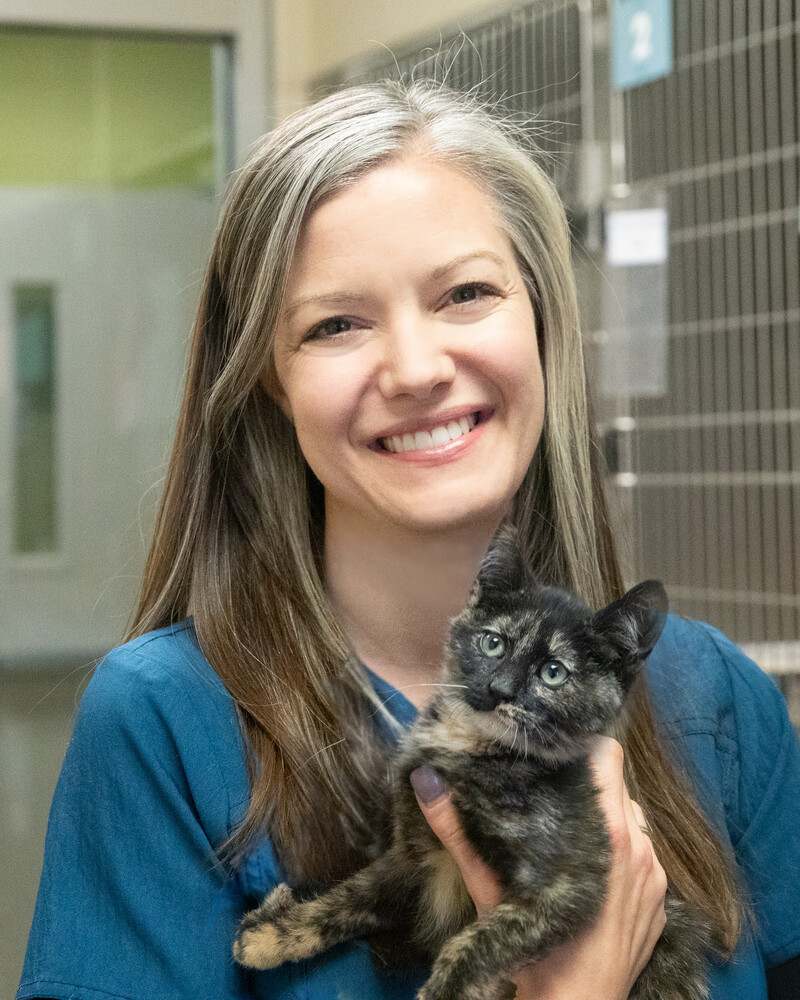 Dr. Courtney White