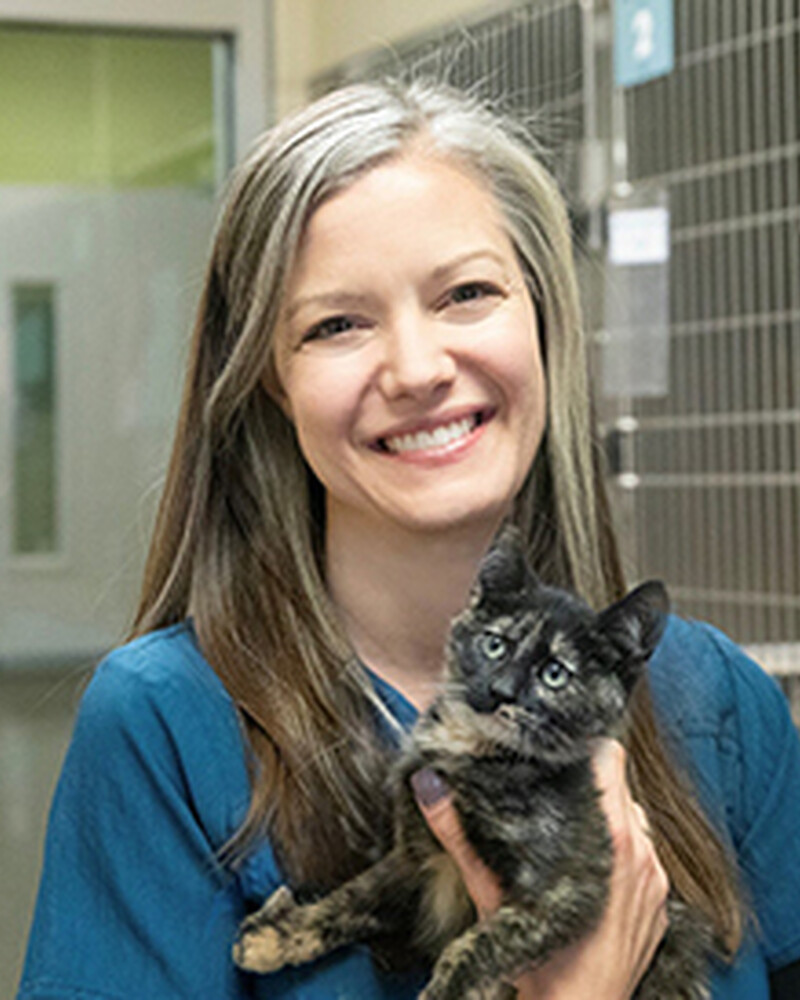 Dr. Courtney White