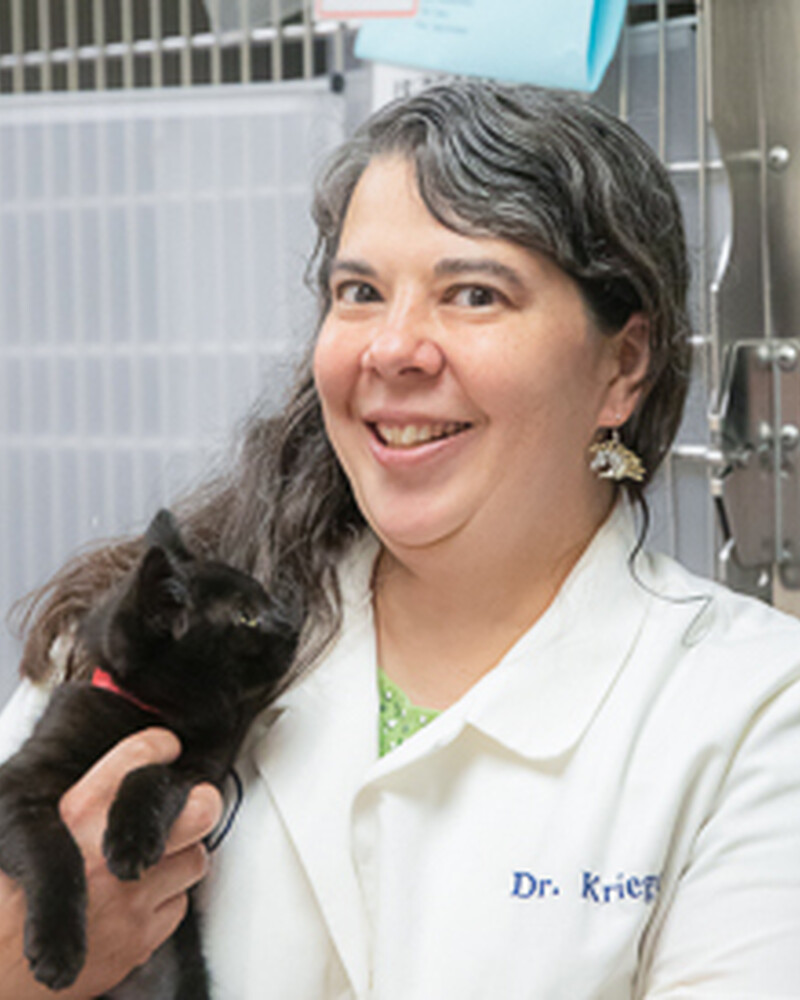 Dr. Karen Krieger