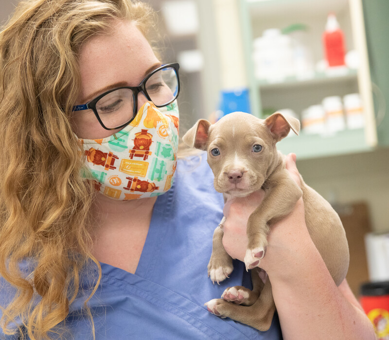 Low Cost Vaccine Clinic