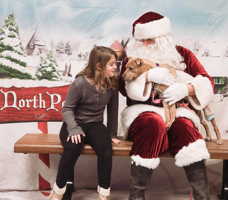 Stories with Santa